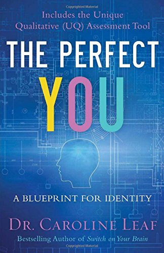 The Perfect You A Blueprint for Identity